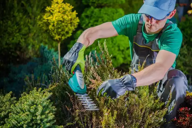 landscaping services Elida